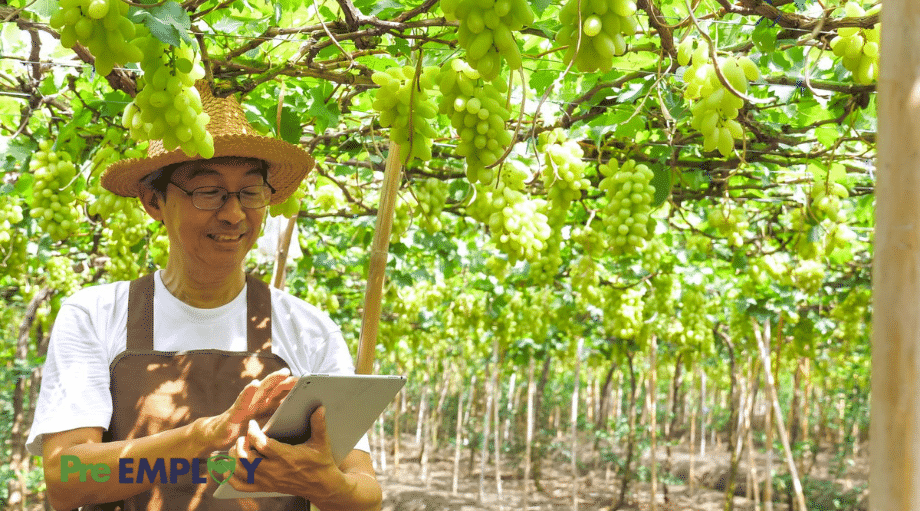 Featured -Agricultural Employers May Face Large Changes in Workers’ Pay and Documentation